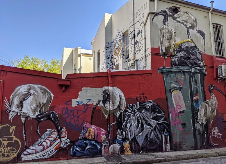 Picture 2 for Activity Sydney: Street Art & Small Bar Tour with Complimentary Drink 4