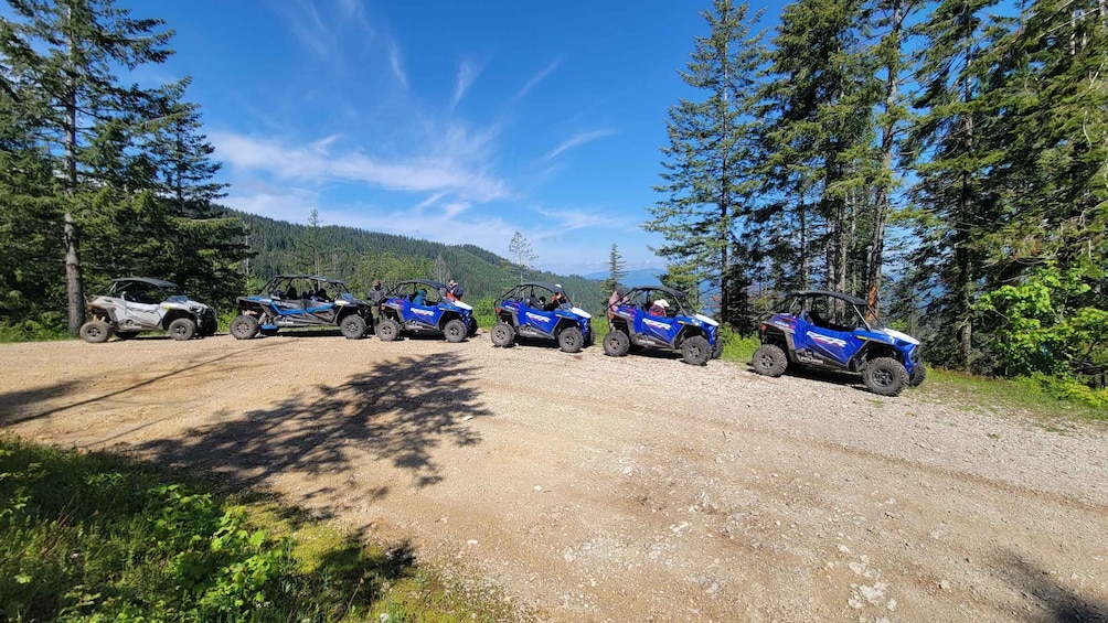 Coeur d'Alene: Off Road UTV Rental in National Forest 1