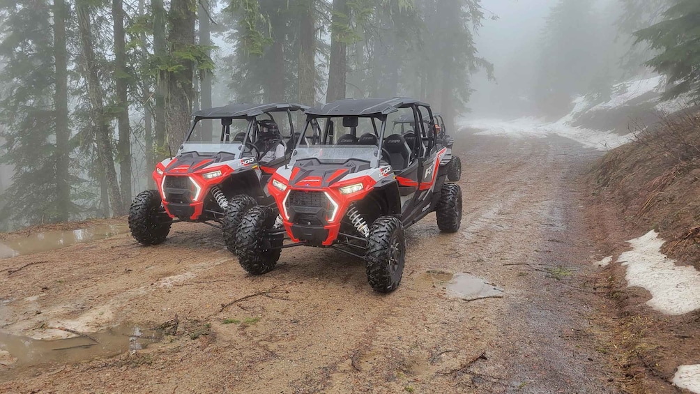 Picture 6 for Activity Coeur d'Alene: Off Road UTV Rental in National Forest 3