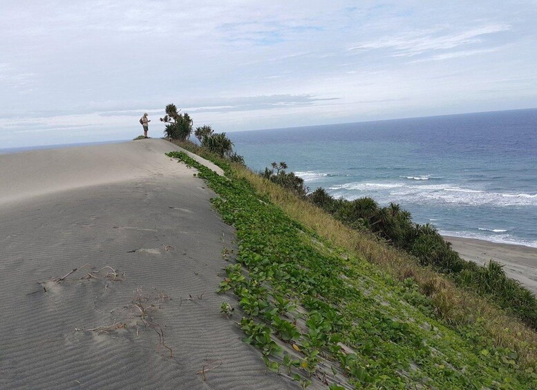 A sandy beach with green vegetation and a person standing at the edge. 4