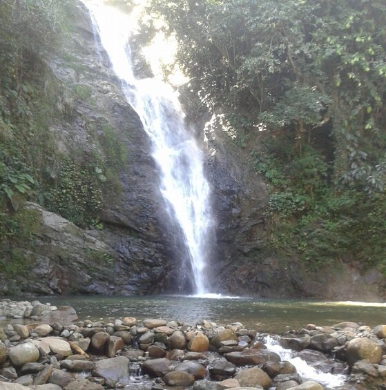 A waterfall cascading into a rocky riverbed surrounded by dense foliage. 5