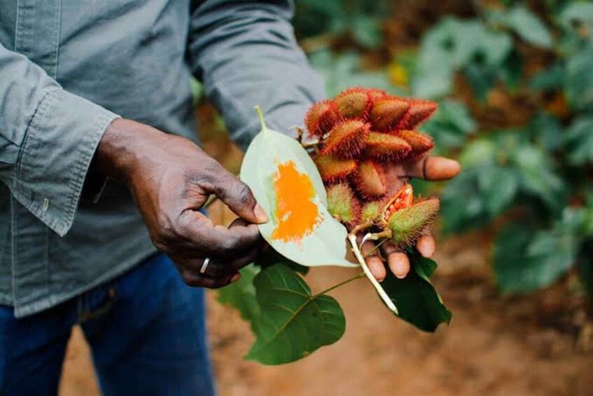 A person holding a plant with green leaves and orange fruit. 3