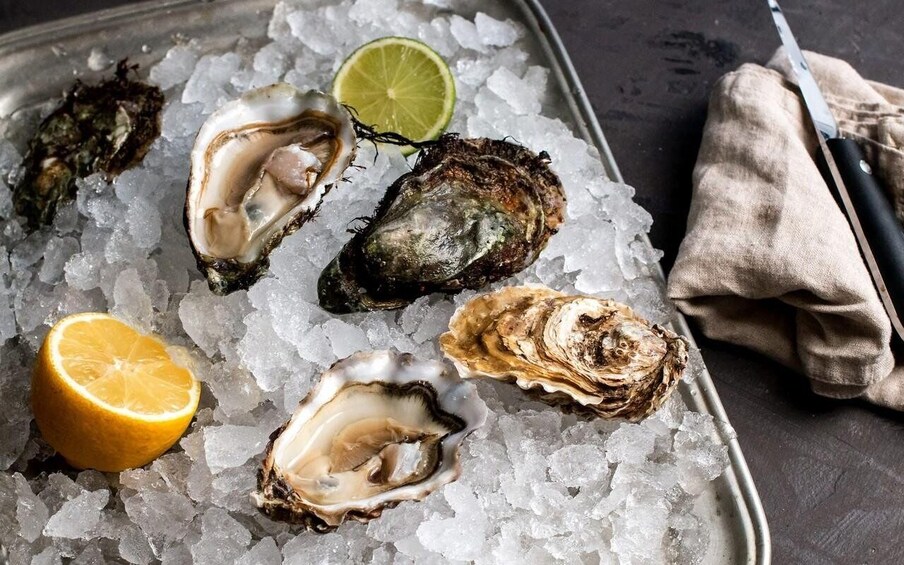 Oysters on ice with a lime wedge and an orange slice. 3