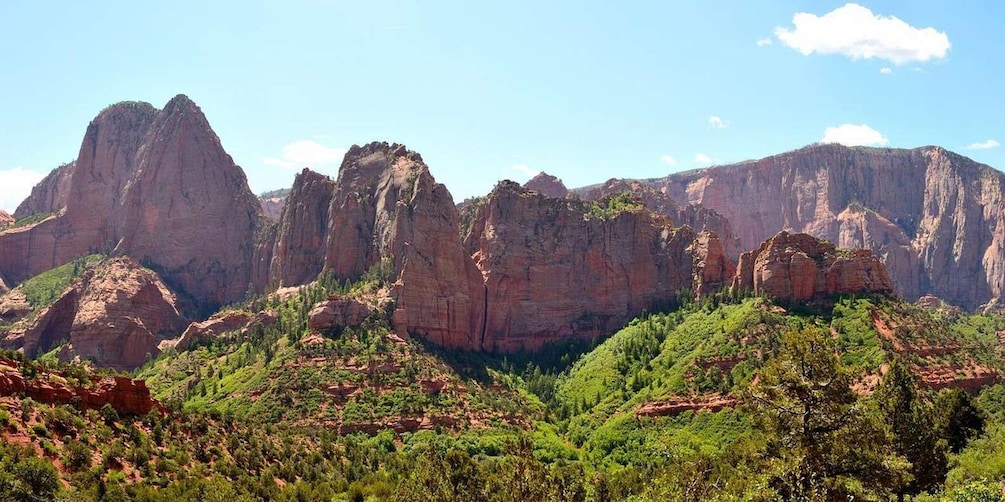 A canyon with prominent red rock formations and green vegetation. 3