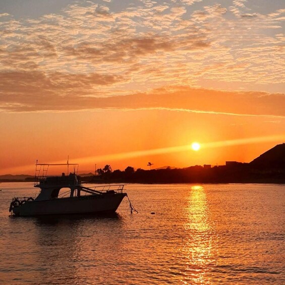 A boat on calm water during sunset with a city skyline in the background. 5