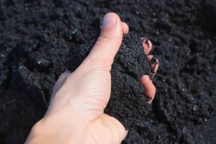 Picture 9 for Activity Tenerife: Masca, Los Gigantes & Volcanic Beach tour 4