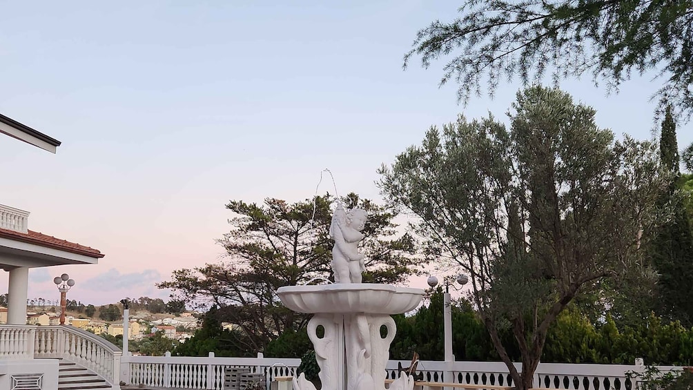 Picture 1 for Activity Calabria: 3-Day Bonsai Workshop with Accommodation 2