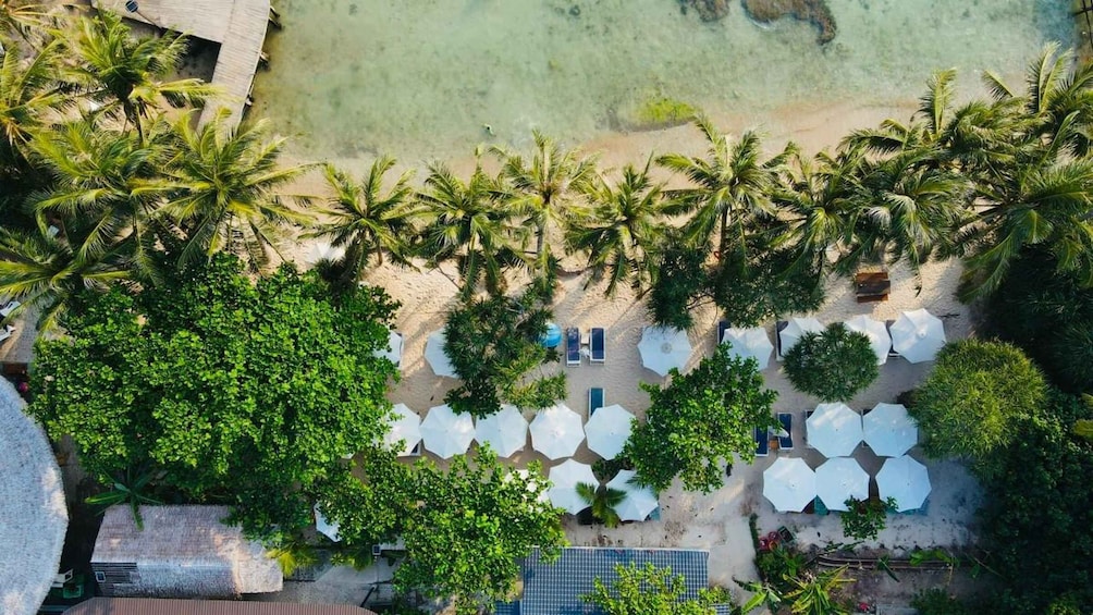 An aerial view of a beach with palm trees, umbrellas, and lounge chairs. 3
