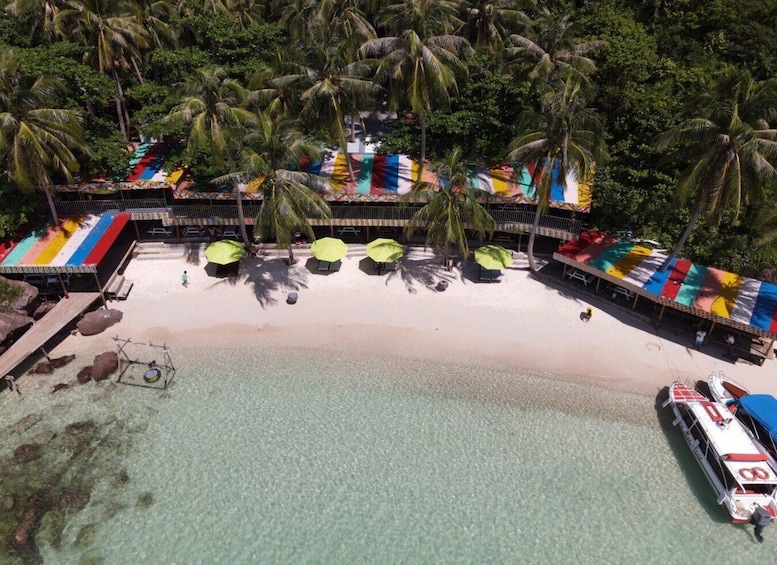 A beach with colorful umbrellas and palm trees. 1