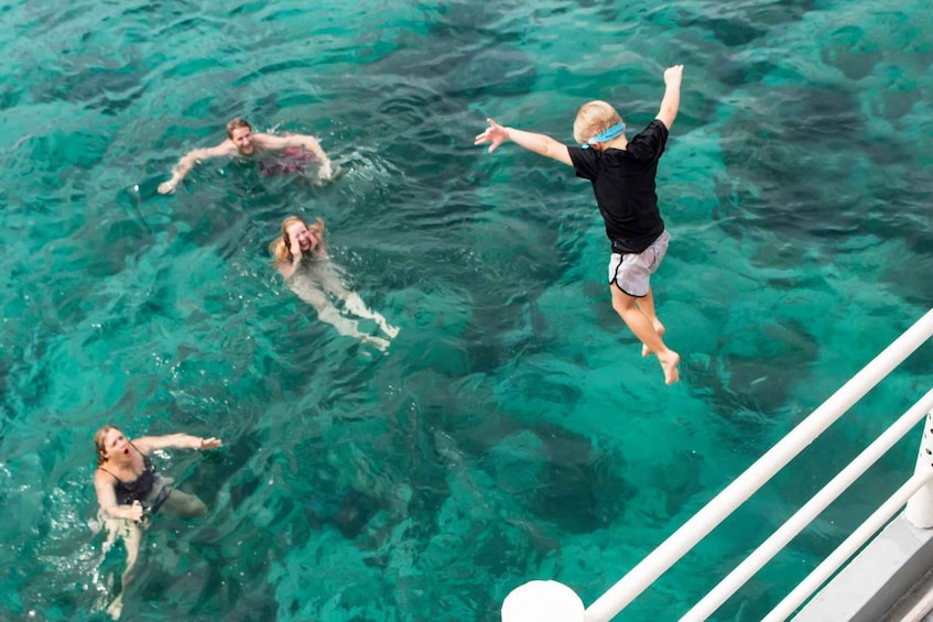 People swimming in clear blue water. 5