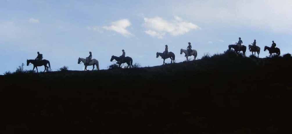 Picture 1 for Activity Mendoza: Sunset Horseback Rides with BBQ 2