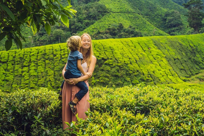 A woman holding a child in a lush green tea plantation. 3