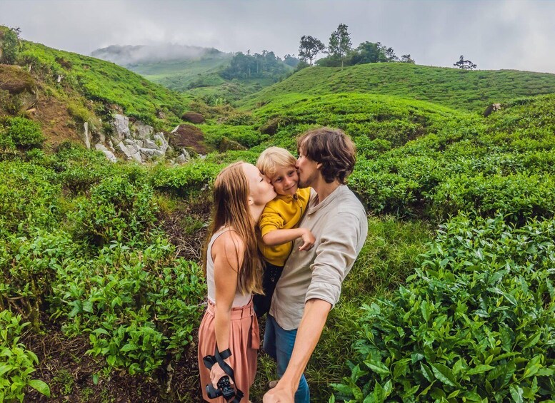 A family embracing in a lush green tea plantation with rolling hills and mist in the background. 1
