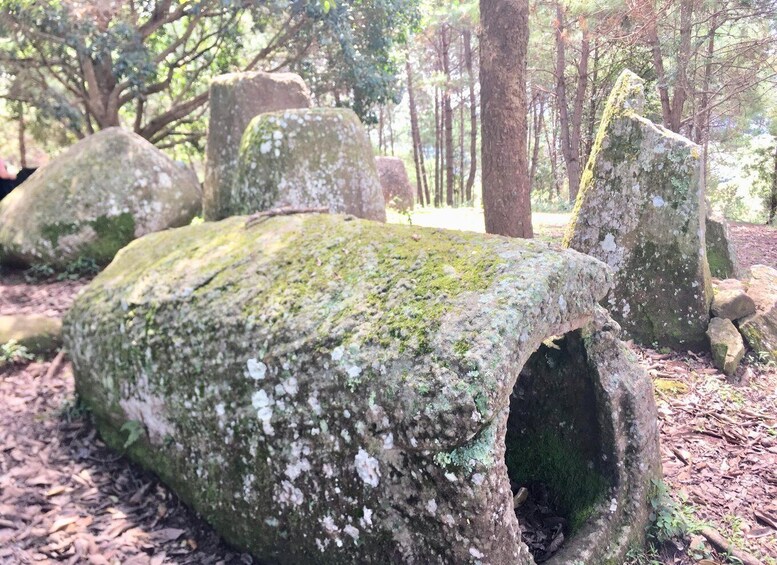 A moss-covered stone structure in a forest. 1
