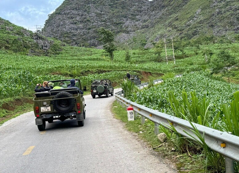 A narrow road flanked by lush green fields and a mountainous backdrop. 5