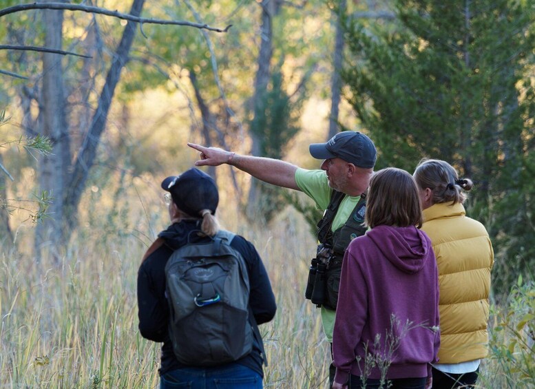 Picture 1 for Activity Denver: Birding Basics and Beyond 2