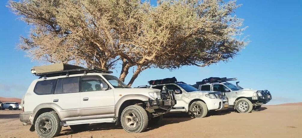 Two off-road vehicles parked in a desert with a large tree in the background. 3