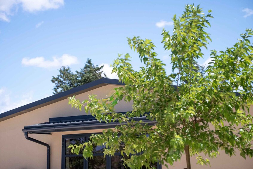 A modern building with a beige facade, a black roof, and a tree in the foreground. 2