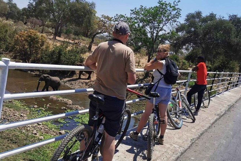 Picture 3 for Activity Zambia : Victoria Falls : Nature Bike Tour 2