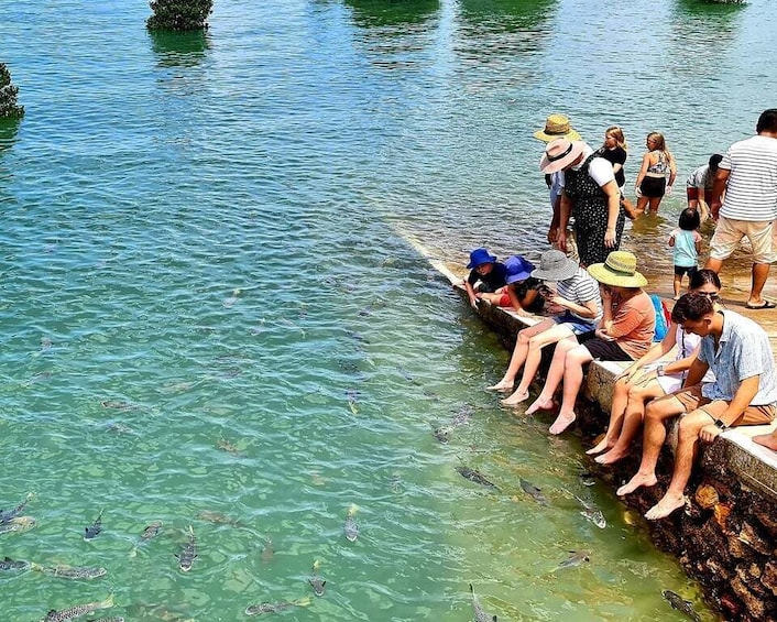 People sitting on a ledge by a body of water with fish swimming below. 2
