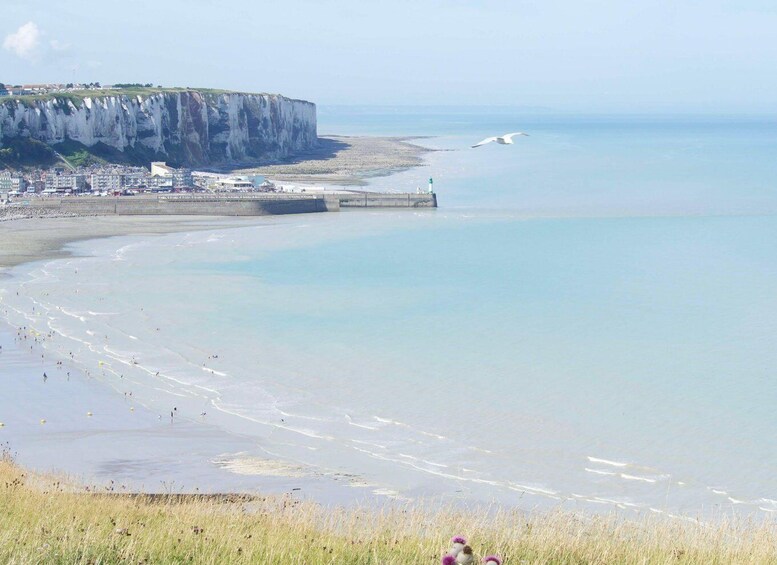 Baie de Somme: Day tour of the Picardy coastline 1