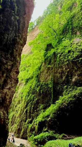 Picture 12 for Activity Vlore Discover Waterfalls & Caves in Velce Village 5