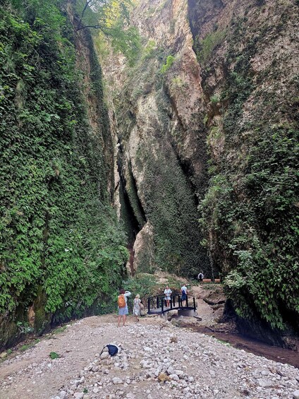 A rocky canyon with dense vegetation and a group of people standing on a path. 2