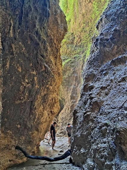 Picture 11 for Activity Vlore Discover Waterfalls & Caves in Velce Village 4