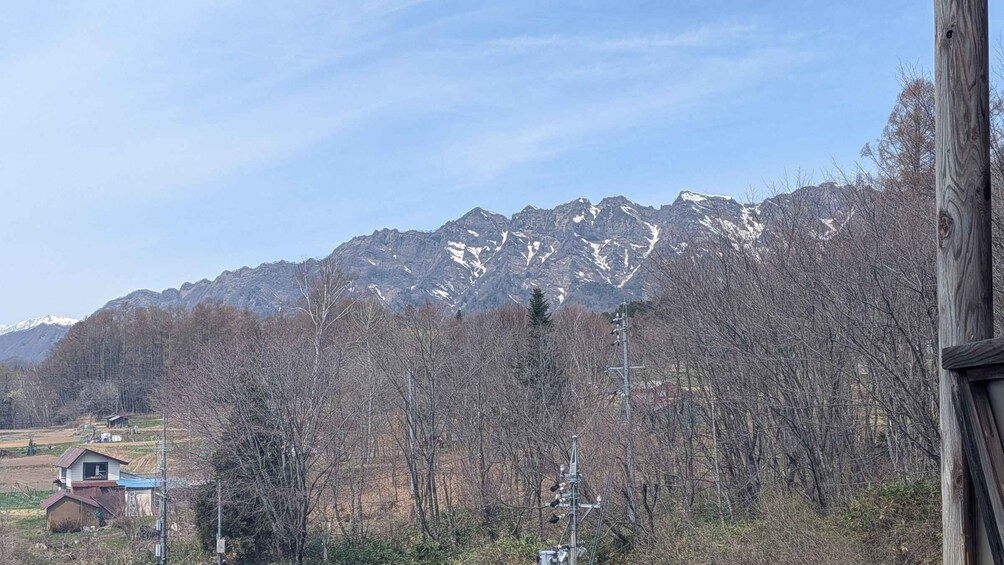 A mountainous landscape with snow-capped peaks, leafless trees, and a utility pole in the foreground. 2