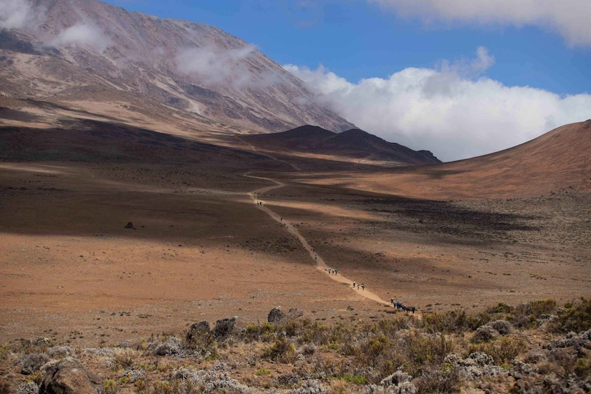 A barren landscape with a winding dirt road, sparse vegetation, and distant mountains under a clear sky. 5