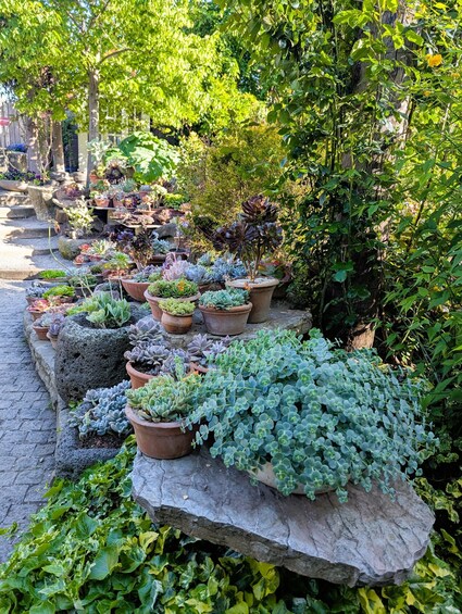 Picture 2 for Activity Tbilisi: Hidden Garden Photoshoot with Optional Lunch 3