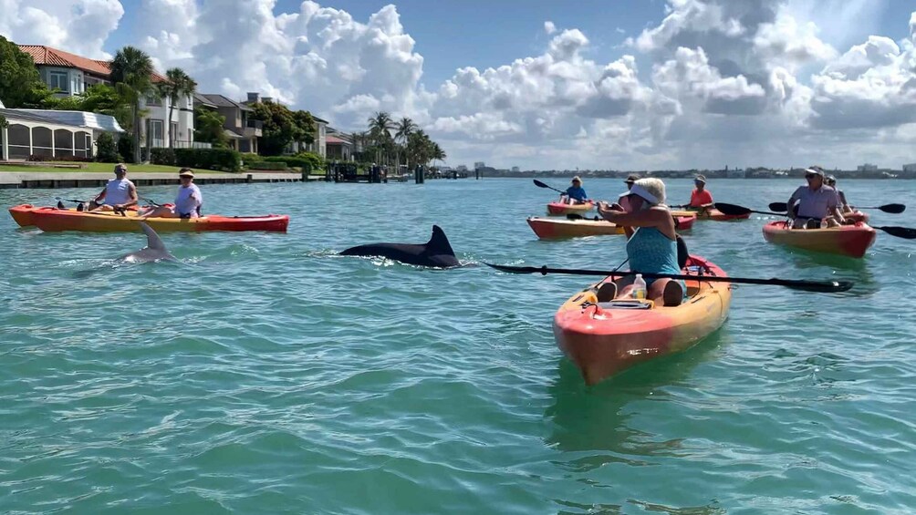 People kayaking on a calm body of water with houses and palm trees in the background. 1