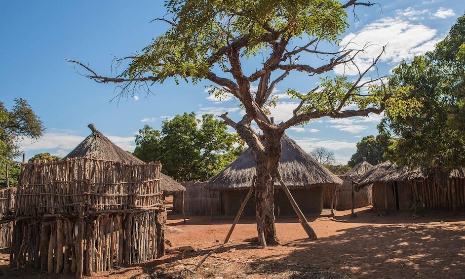 A rural village with thatched-roof huts and a large tree in the center. 1