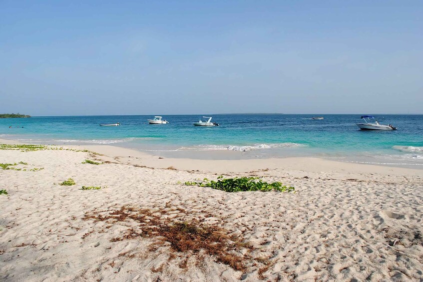 A beach with clear turquoise water, several boats, and sparse vegetation. 2