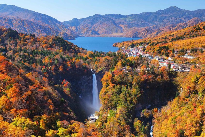 Picture 3 for Activity Nikko Day Tour from Tokyo with English Speaking Driver 2