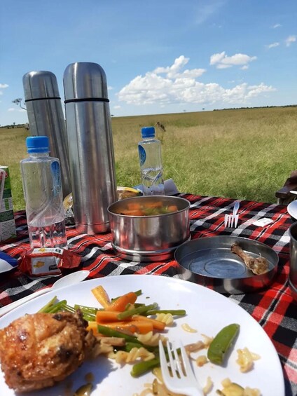 A picnic setup with a plate of food, water bottles, and thermos flasks on a checkered blanket. 3