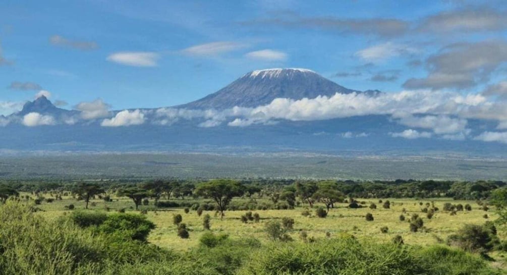 Picture 5 for Activity Nairobi: 6-Day Maasai Mara, L Nakuru, L Naivasha & Amboseli 1