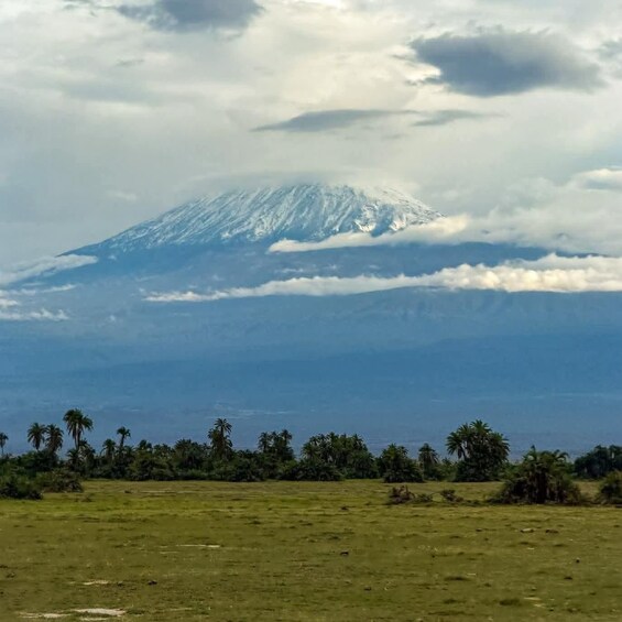 Picture 3 for Activity Nairobi: 6-Day Maasai Mara, L Nakuru, L Naivasha & Amboseli 4