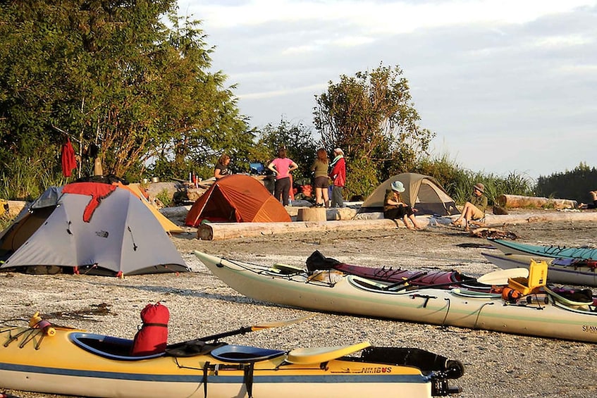 Picture 11 for Activity Zanzibar: 2-Day Kayak and Camping Safari in Menai Bay 4