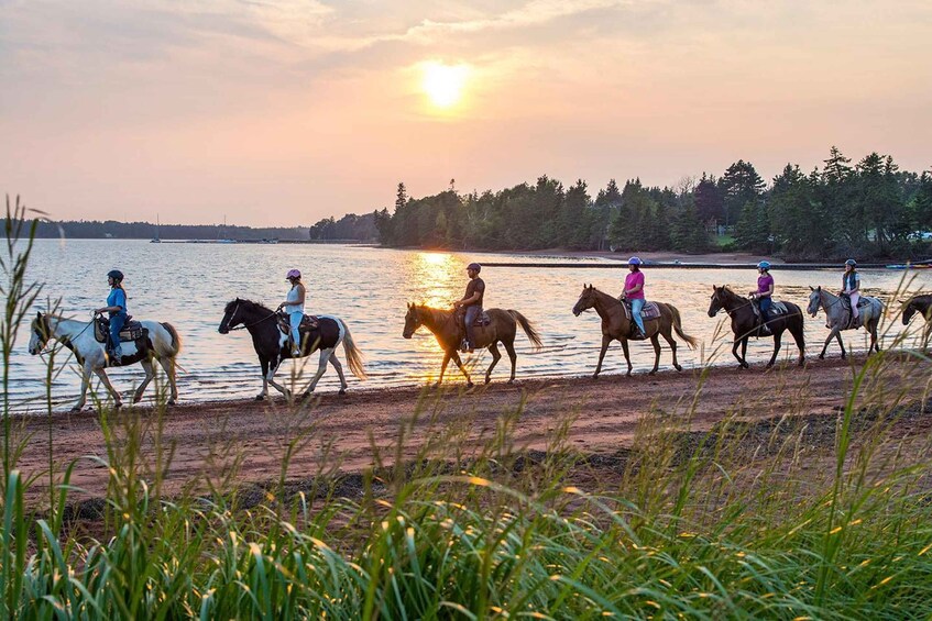 Brudenell: Family-Friendly Horse Ride goes on the Beach 1