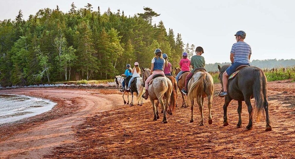 Picture 2 for Activity Brudenell: Family-Friendly Horse Ride goes on the Beach 2