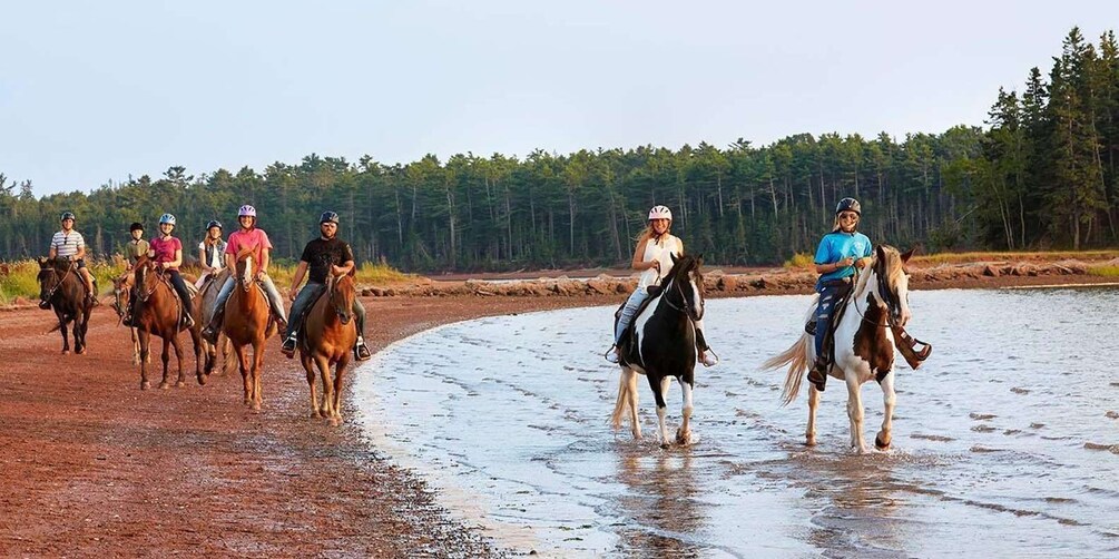 Picture 1 for Activity Brudenell: Family-Friendly Horse Ride goes on the Beach 3