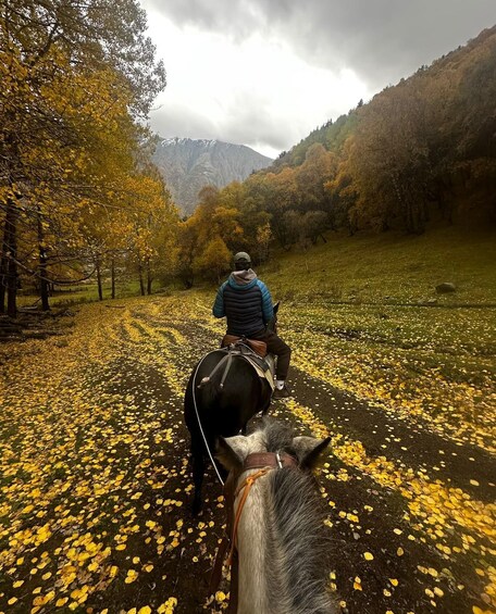 Picture 17 for Activity Kazbegi: Horseback Ride to Gergeti Church (Iconic Views) 3