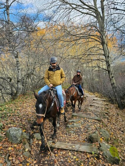 Two people riding horses on a leaf-covered trail surrounded by trees. 2