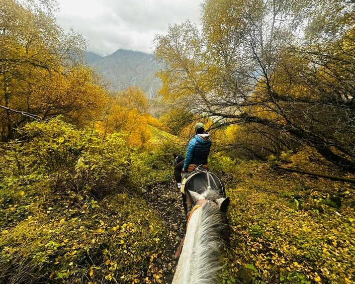 Picture 13 for Activity Kazbegi: Horseback Ride to Gergeti Church (Iconic Views) 5