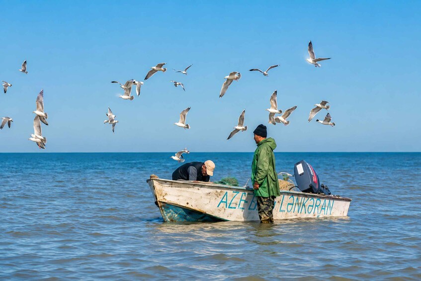 A boat named 'AZEALANKARAN' on calm waters with seagulls flying overhead. 2