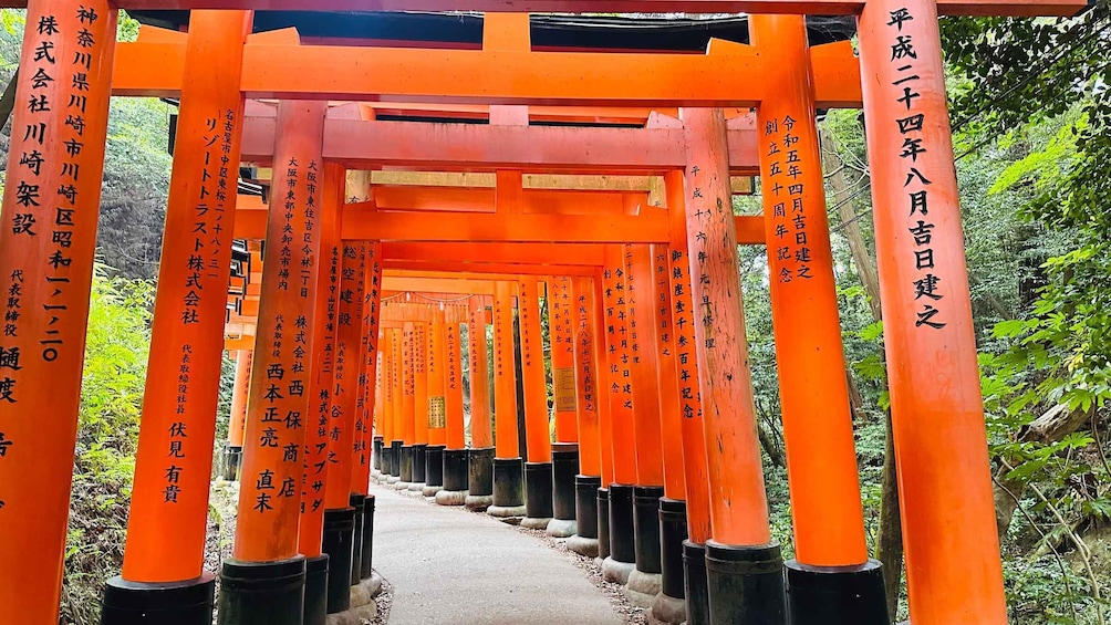 A pathway flanked by orange torii gates with Japanese inscriptions. 1