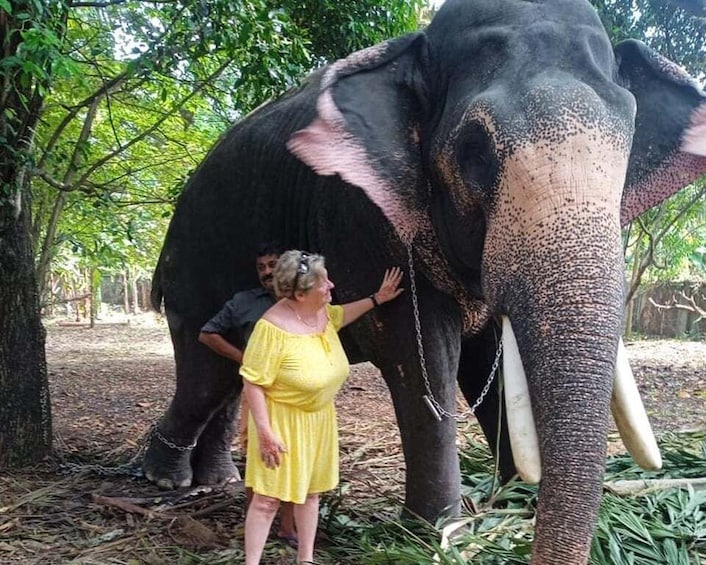 Picture 20 for Activity Fort Kochi: Tuk Tuk Kochi Tours — Budget Friendly 2