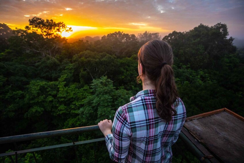 A person standing on a balcony overlooking a dense forest during sunset. 4