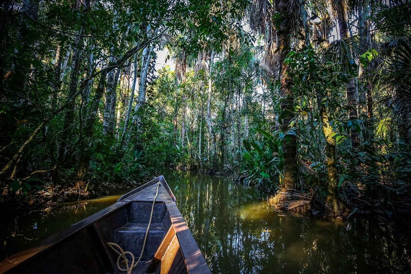 A boat in a dense forest with a calm river. 1